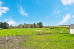 Adjoining paddock land- click for photo gallery